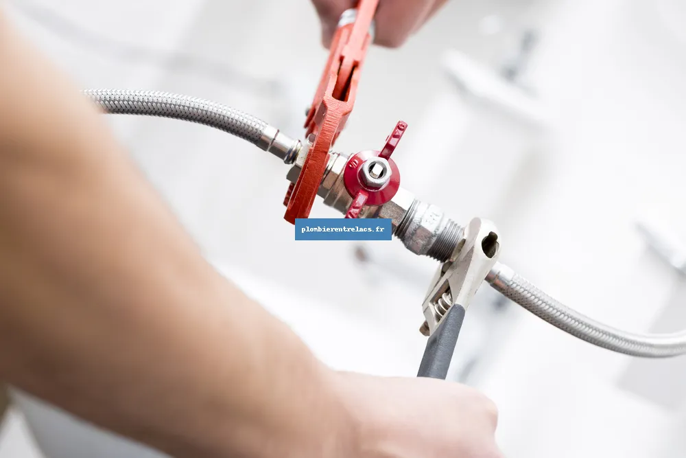 Plombier Entrelacs 73410