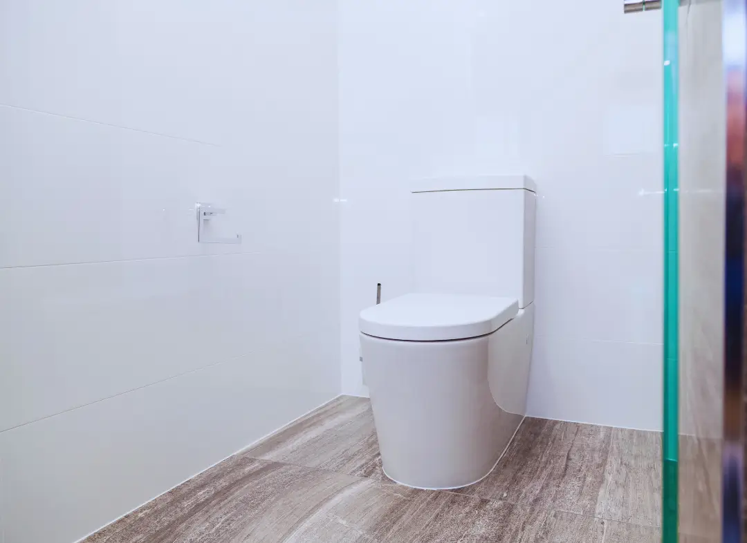 Remplacement de wc Entrelacs